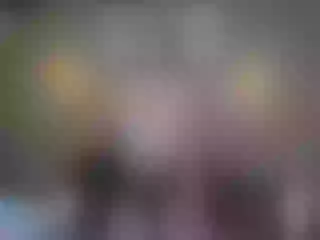 Live sex webcam photo for Miia_cox #255930098