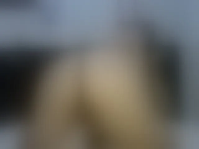 Live sex webcam photo for vick_harris #254808799