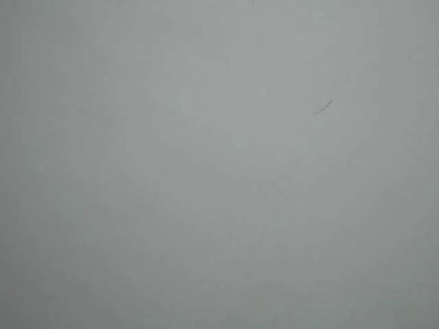 Live sex webcam photo for sweet-san4 #246049882
