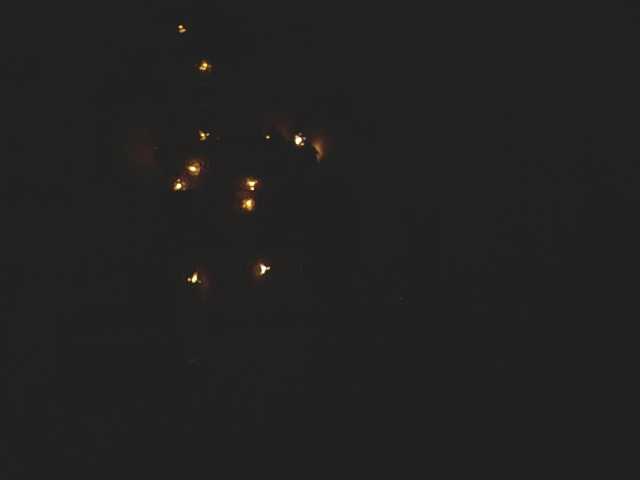 Live sex webcam photo for agatagol #246651496