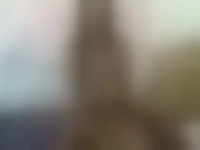 Live sex webcam photo for EleianaRose #255572503