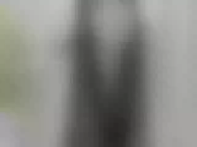 Live sex webcam photo for Girl-Pleasure #241170575