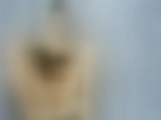 Live sex webcam photo for RubyFlame3 #256652385