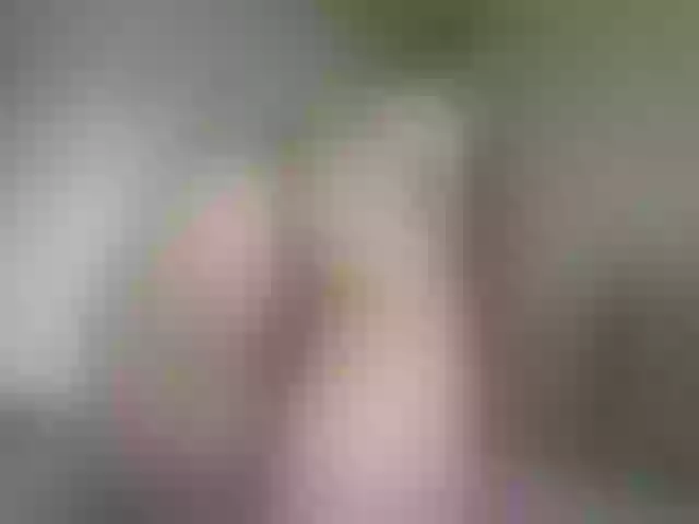 Live sex webcam photo for LanaTy #262299724
