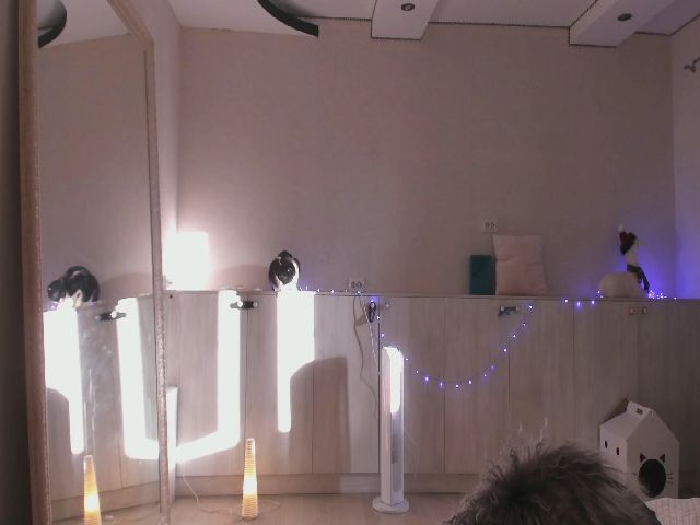 Live sex webcam photo for Relax_ #257303447