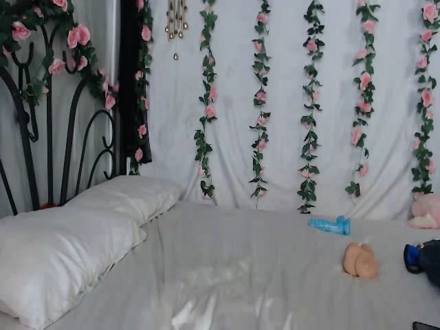 Live sex webcam photo for GalaxyFox #260926824