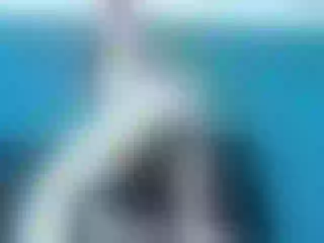 Live sex webcam photo for vanesa-diaz #241418206
