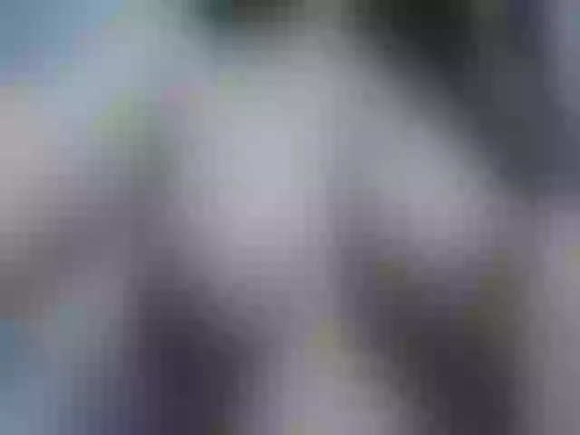 Live sex webcam photo for Rachelsensual #259553625