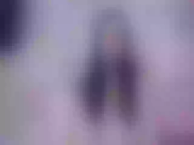 Live sex webcam photo for Innocent_Di #256731046
