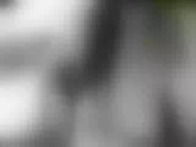 Live sex webcam photo for CrazyJane1 #256227191
