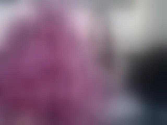 Live sex webcam photo for SUSYBALE #255375689