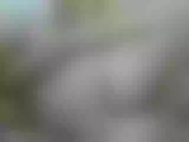 Live sex webcam photo for MeganPrice_ #259648341