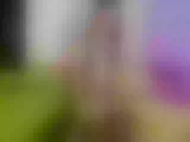 Live sex webcam photo for Atlanna #255712822
