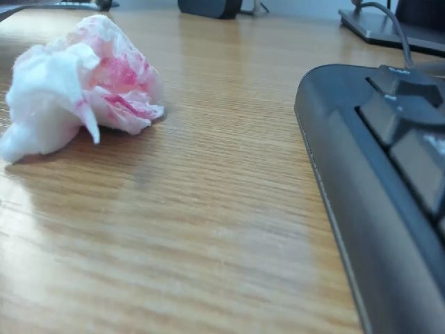 Live sex webcam photo for LizzieBrie #264331551