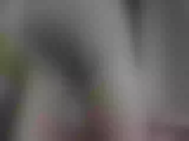 Live sex webcam photo for PrettyDolly #240968737