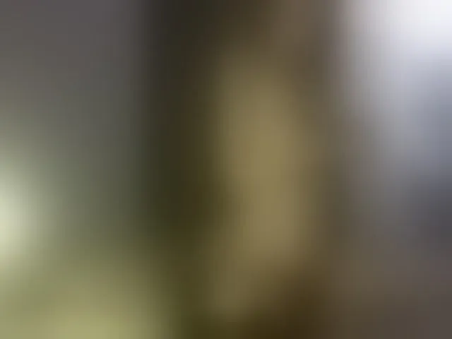 Live sex webcam photo for Oricle #259824479