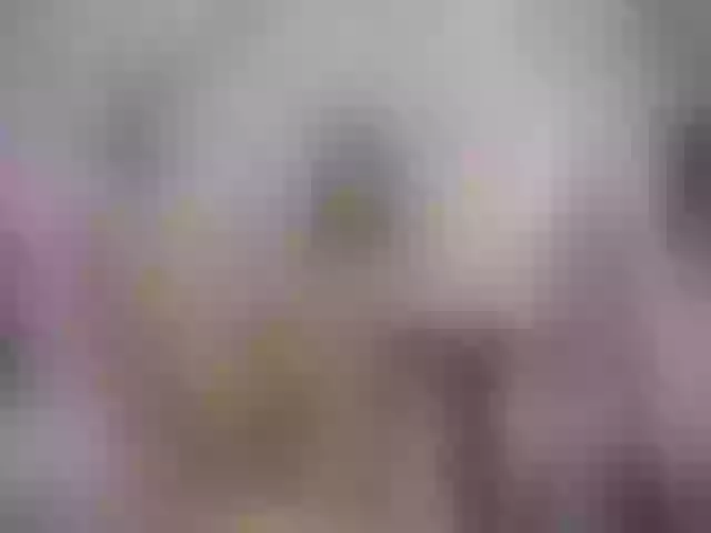 Live sex webcam photo for SexyAshley2x #259816487