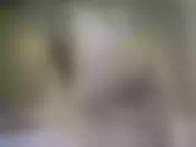 Live sex webcam photo for Miia_cox #264252358