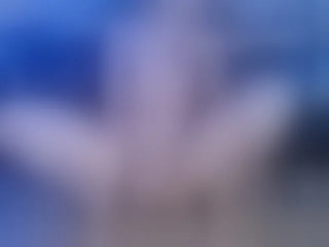 Live sex webcam photo for adri14-1 #251702436