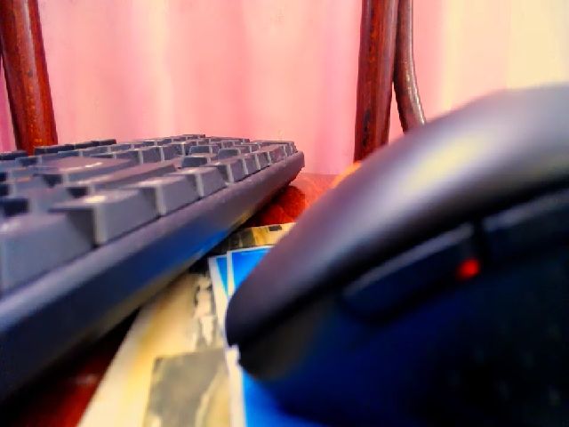 Live sex webcam photo for Lady_Betsy #255294408