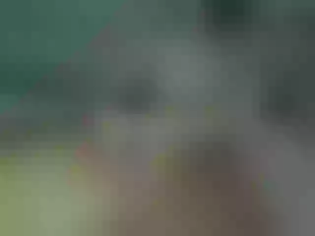 Live sex webcam photo for Into_Mary #262794585