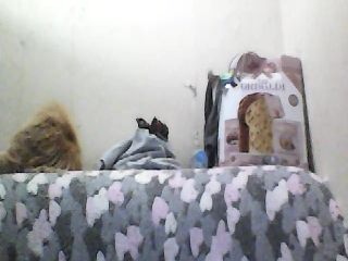 Live sex webcam photo for GuiltyKitty #251656667