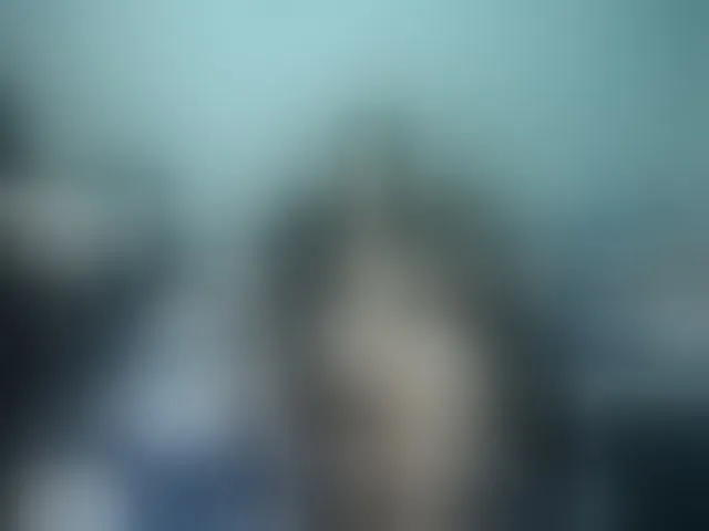 Live sex webcam photo for Girlhornyx20 #255767160