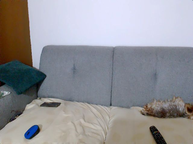 Live sex webcam photo for Stephycute #252665850