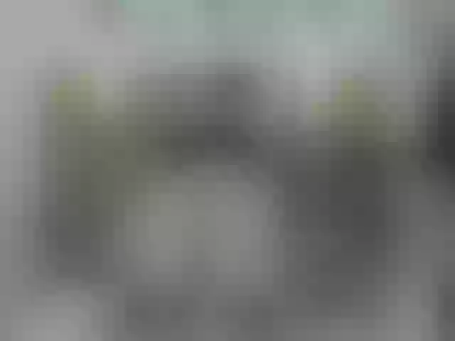Live sex webcam photo for Mssburbuja #263508342