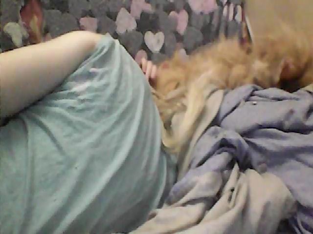 Live sex webcam photo for GuiltyKitty #260140716