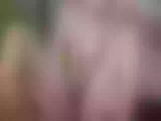 Live sex webcam photo for Evelynevi #253298523
