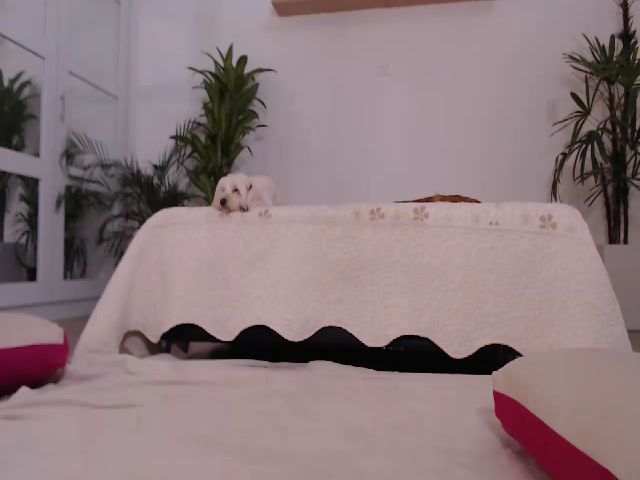 Live sex webcam photo for AngelaMar #255383217