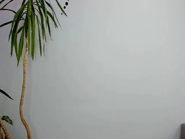 Live sex webcam photo for HelelGretta #264733581