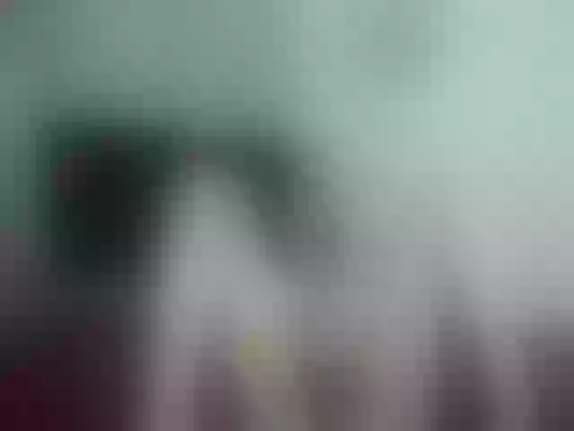 Live sex webcam photo for Girasolwalton #254909589