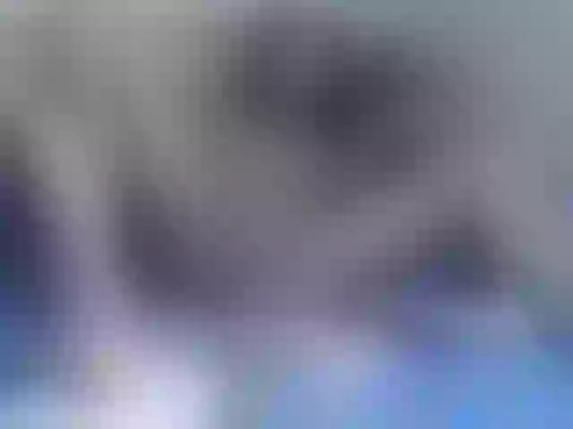 Live sex webcam photo for cheaptipmenu #241121296