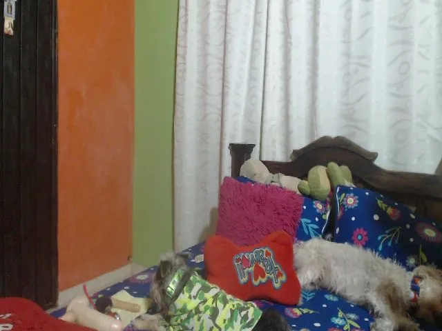 Live sex webcam photo for Mao02 #262487760