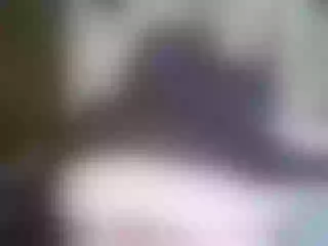 Live sex webcam photo for Star-Skyline #241184681