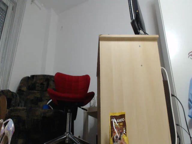 Live sex webcam photo for EnioNichols #256283295