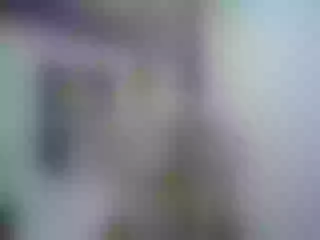 Live sex webcam photo for Anttonella_2 #254024279