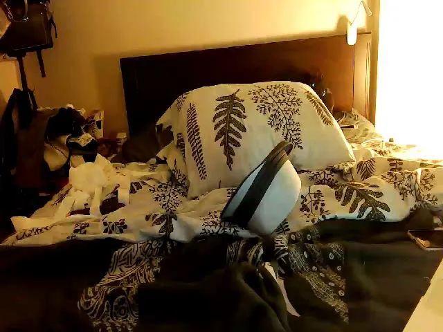 Live sex webcam photo for CoconutCats #262946853