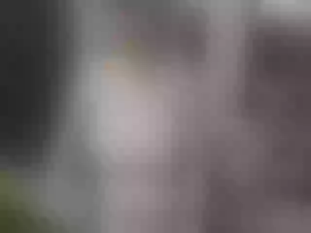 Live sex webcam photo for Angel_grey_ #264393788