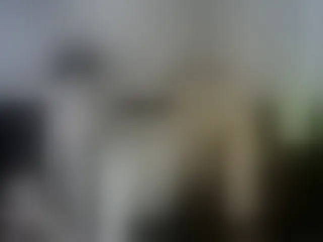 Live sex webcam photo for MyyDream #254590851
