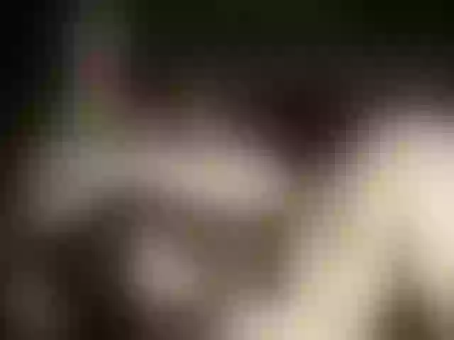 Live sex webcam photo for Lara551 #240927847