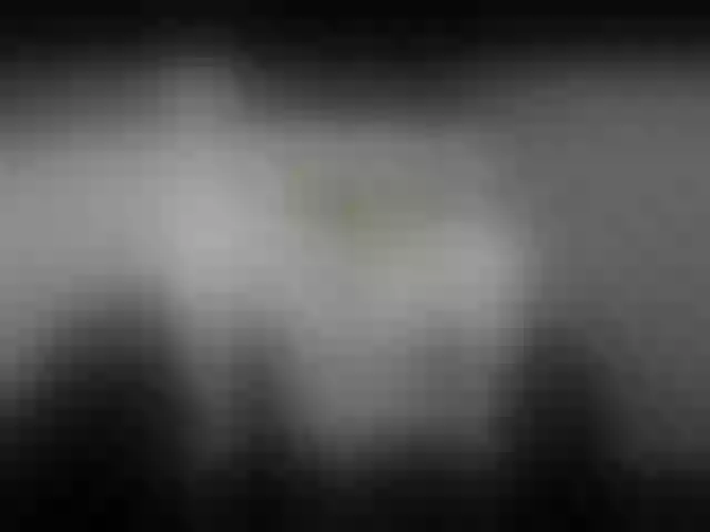 Live sex webcam photo for KellyMerry #254352039
