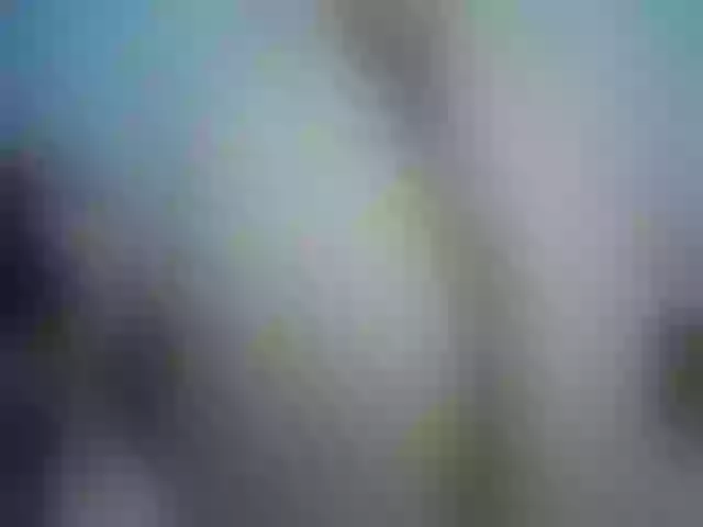 Live sex webcam photo for Girlhornyx20 #264576240