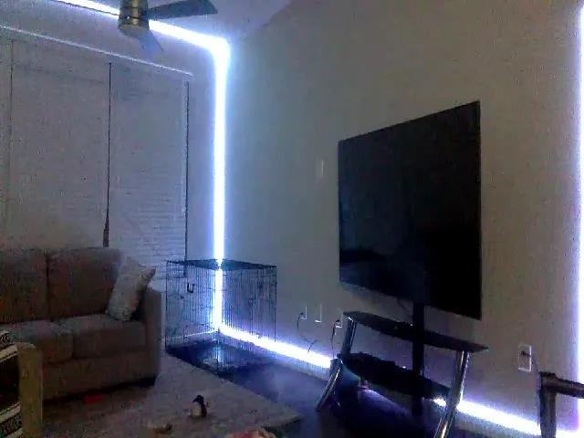 Live sex webcam photo for Sammy_gray #264084396