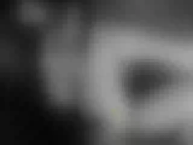 Live sex webcam photo for Alisachan #241379276