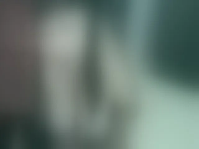 Live sex webcam photo for LeraFox #256102715
