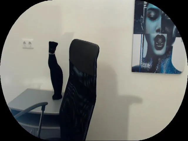 Live sex webcam photo for MollyMey #264479889