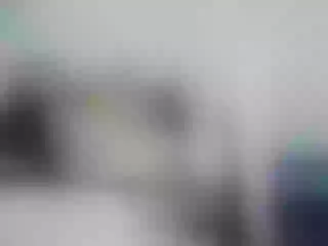 Live sex webcam photo for KishaColins #241387533